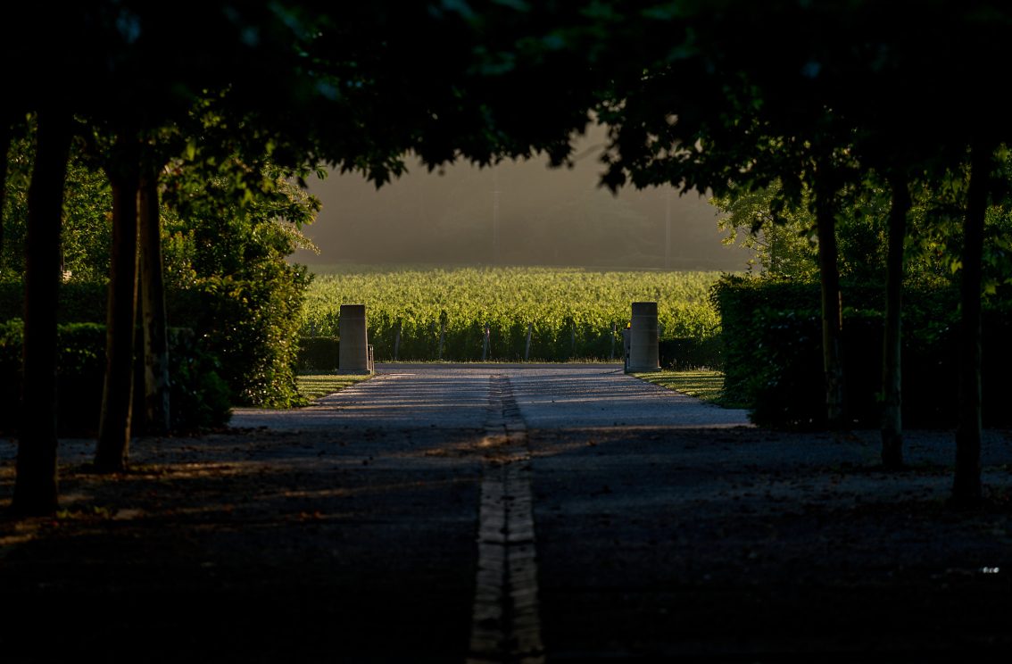 Haut-Bailly,  Terroir Innovivant